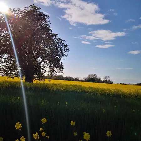 Lejlighed In Sellin - Insel Ruegen 37917 *