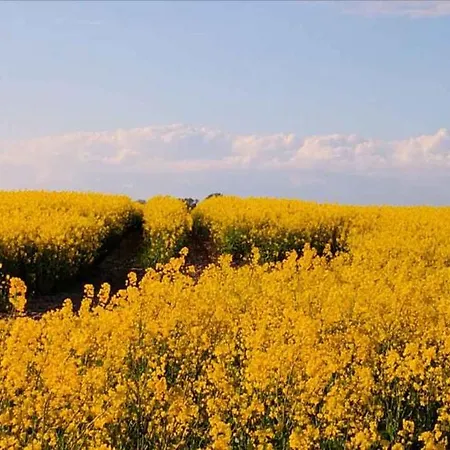 In Sellin - Insel Ruegen 37917